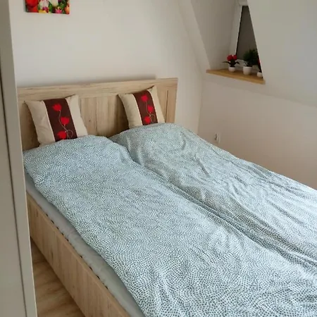 Апартаменты Tulip Jagiellonska - Poddasze Bez Windy *